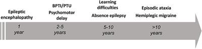 From Genotype to Phenotype: Expanding the Clinical Spectrum of CACNA1A Variants in the Era of Next Generation Sequencing